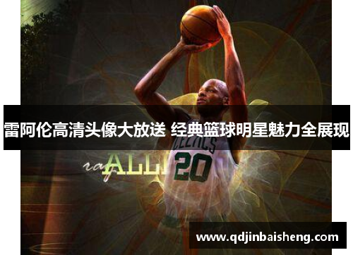 雷阿伦高清头像大放送 经典篮球明星魅力全展现